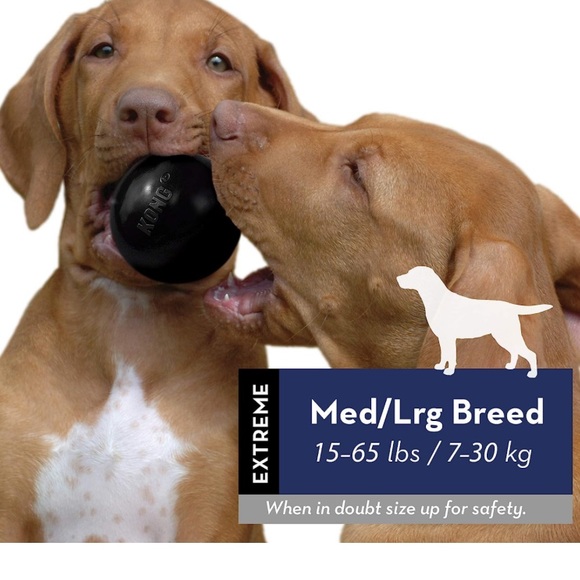 KONG BALL‼️MED/LARGE - Picture 4 of 7